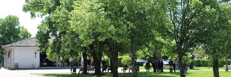 Intenzivni radovi na poslovima uređenja zelenih površina 