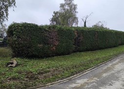 /galerije/UREĐENJE ZELENIH POVRŠINA/1000003204.jpg