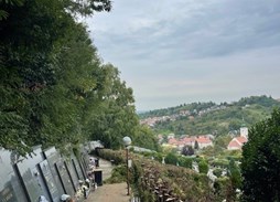 /galerije/UREĐENJE ZELENIH POVRŠINA/G. VRAPČE sl.1.jpg