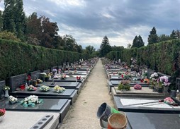 /galerije/UREĐENJE ZELENIH POVRŠINA/G. VRAPČE sl.4.jpg