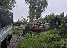 /galerije/UREĐENJE ZELENIH POVRŠINA/pro-UJIXhynh.jpeg