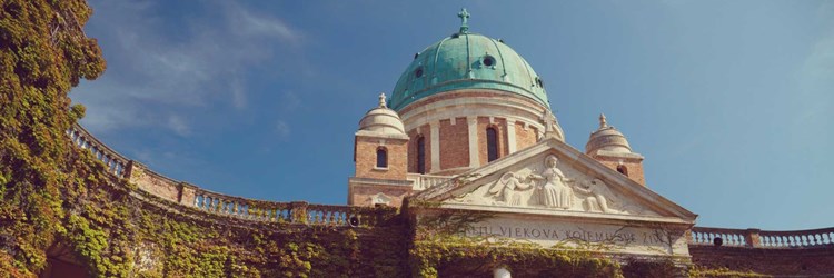 Intenzivni radovi na poslovima uređenja zelenih površina 